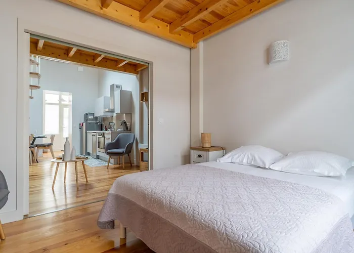 La Thibaudiere - Appt En Centre-Ville